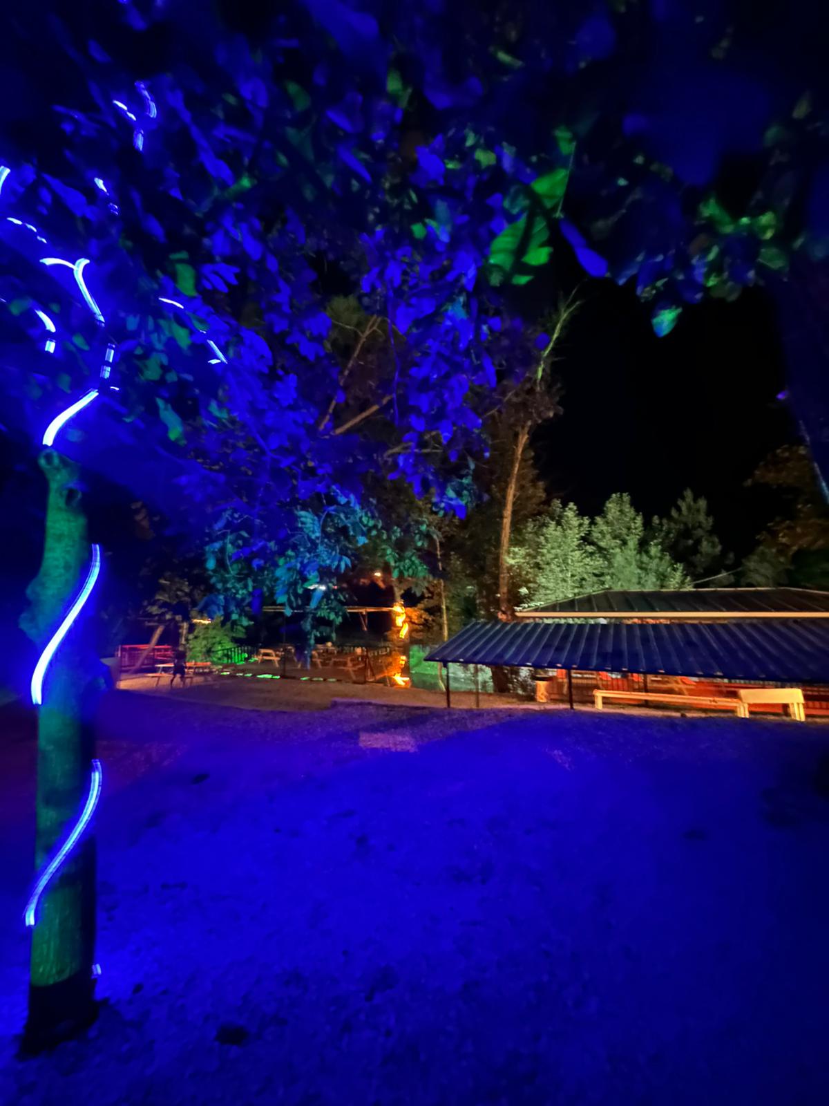 Mekanımızdan Kareler 8